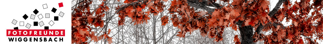 banner_hilbrich-christine_01-18-03-13.jpg