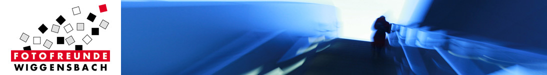 banner_pfleiderer-thomas_03-28-01-12.jpg