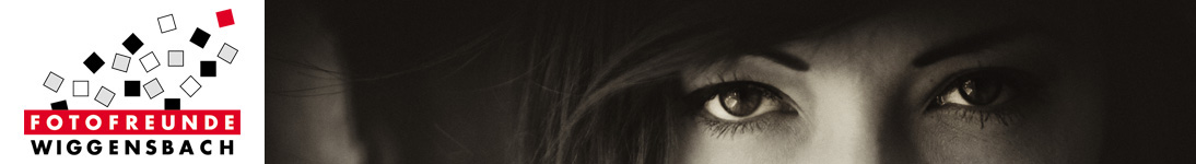 banner_pfleiderer-thomas_07-28-01-12.jpg